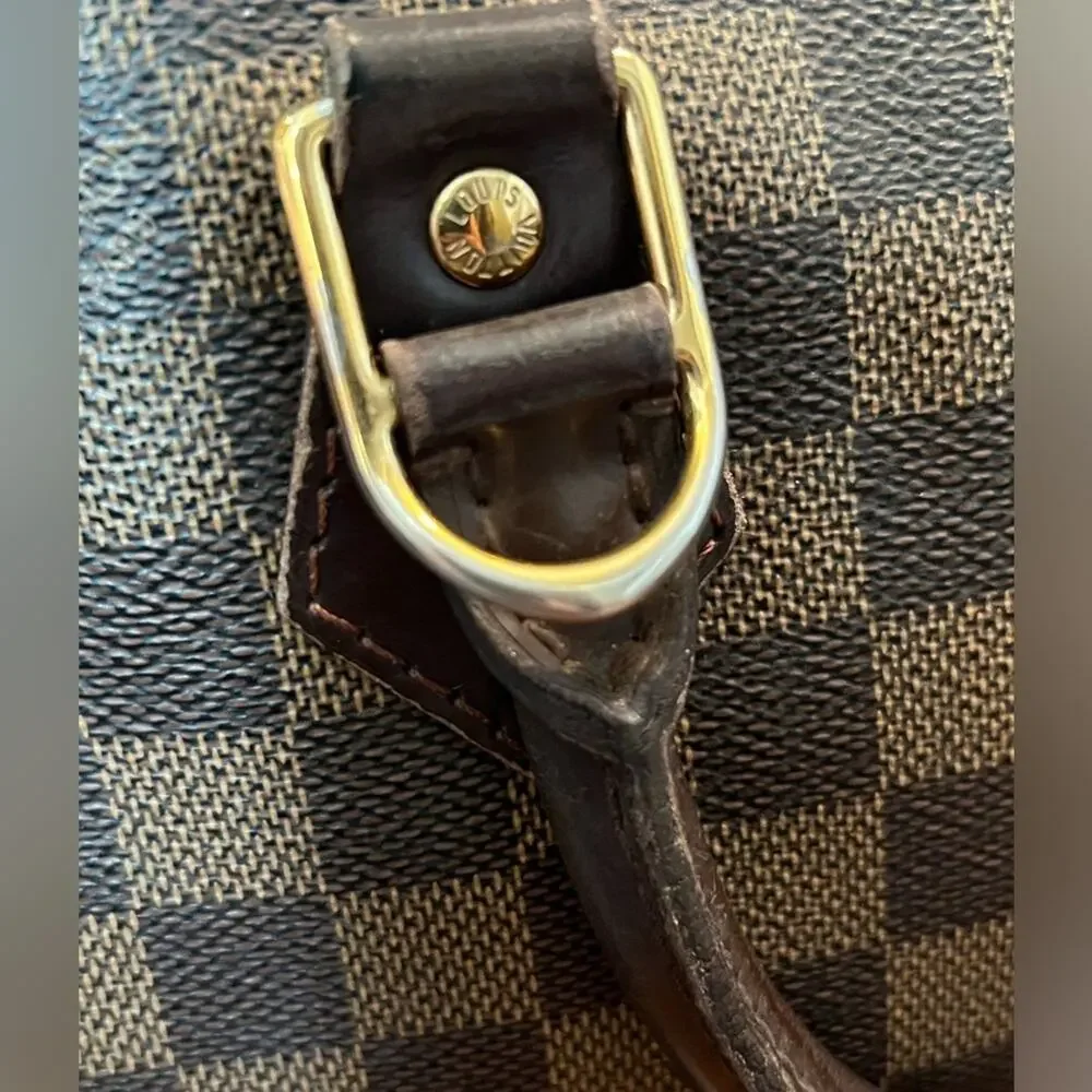 Louis Vuitton Damier Ebene Alma Handbag